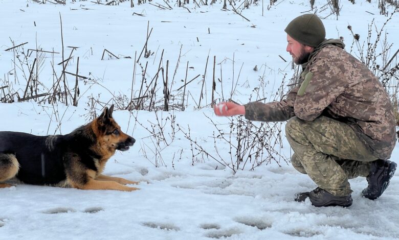 Бойова собака Альма на варті кордонів Чернігівщини (Фото)