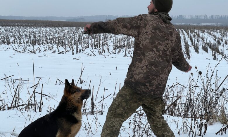 Бойова собака Альма на варті кордонів Чернігівщини (Фото)