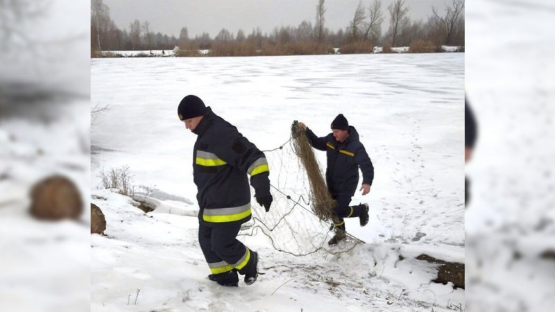 На Чернігівщині надзвичайники врятували двох лебедів із замерзлої водойми