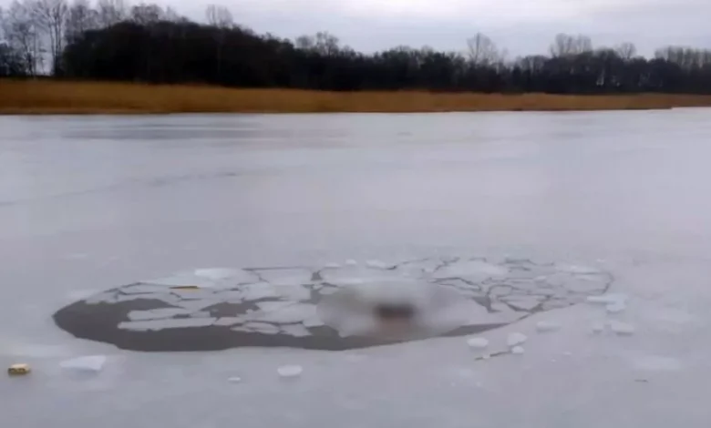 На Чернігівщині в озері виявили тіло чоловіка