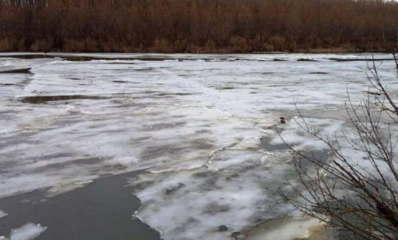 Ще одна переправа через Десну на Чернігівщині не працює через погоду