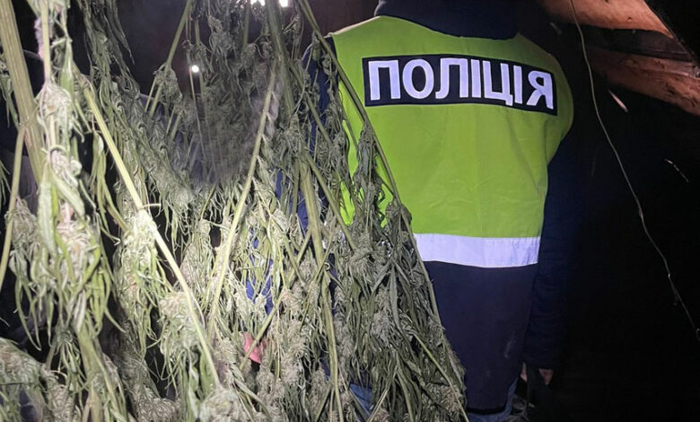 У Чернігові поліцейські викрили місцевого мешканця у зберіганні наркотиків (Фото)