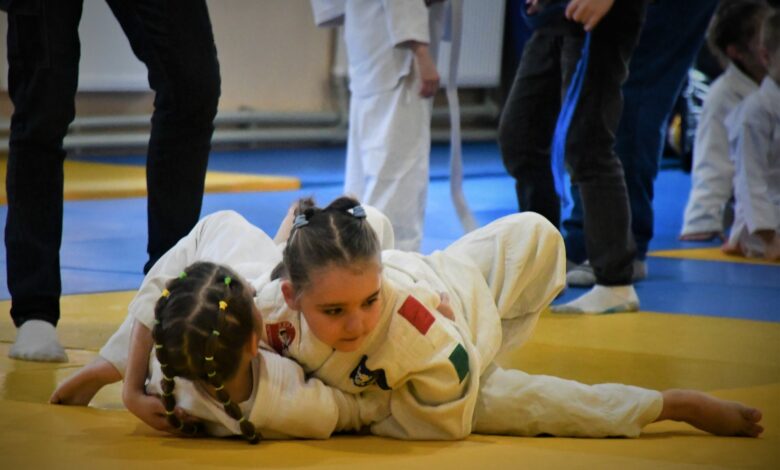 У Ніжині пройшов традиційний новорічний турнір із дзюдо для найменших (Фото)
