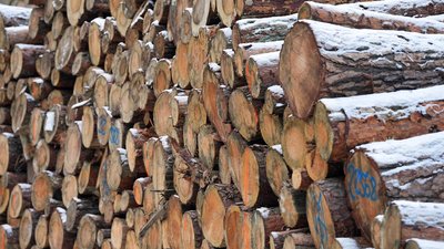Договори виконали: понад 4 300 домогосподарств у прикордонних громадах Чернігівщини отримали безкоштовні дрова