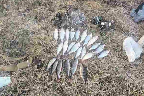 Майже 50 тисяч гривень сплатить браконьєр, який наловив 2 кг риби на Чернігівщині