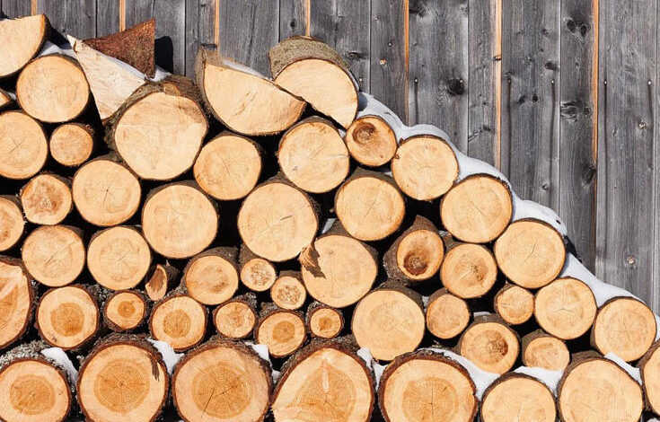 На Чернігівщині більше як 4000 домогосподарств отримали безоплатні дрова від держави