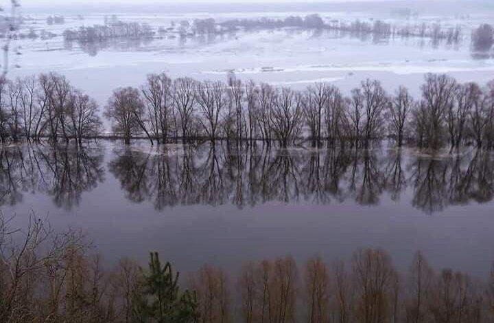 Рідкісне явище на Чернігівщині – зимова повінь (Фотофакт)