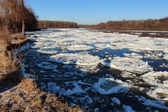 Розвиток зимової паводкової ситуації в басейнах річок Дніпро та Десна