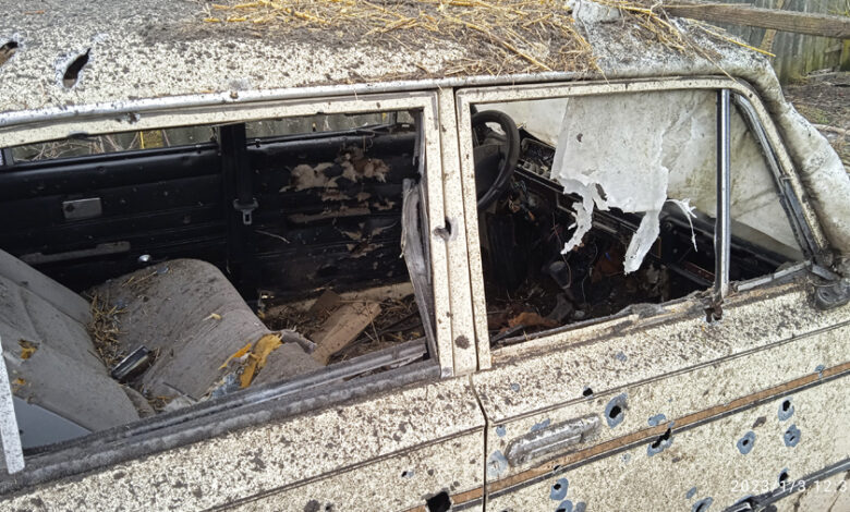 Тікали від вибухів і ховалися в погребах: наслідки обстрілів села Єліне (Фото)