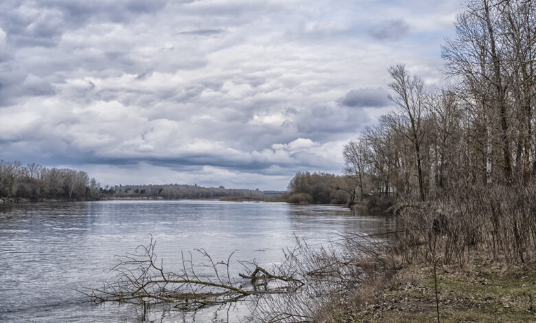 Вода наробила лиха: на Чернігівщині затоплює оселі і переливає дороги