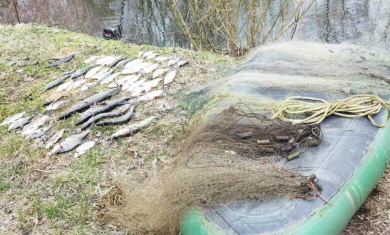 Чернігівець незаконно наловив риби на 91 тисячу гривень