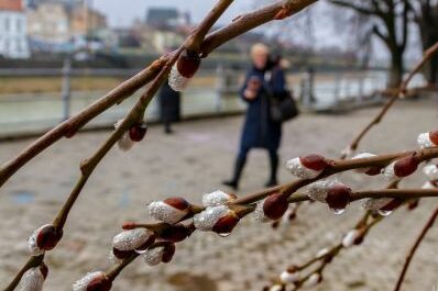 Чернігівські синоптики спрогнозували погоду на 8 березня