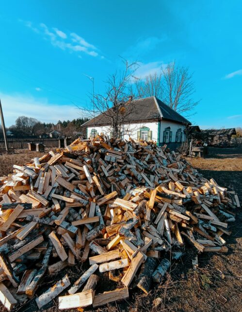 Готуй сани влітку: на Чернігівщині люди запасаються дровами на новий опалювальний сезон