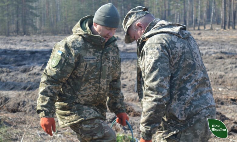 Масштабне озеленення: на деокупованих територіях Чернігівщини висаджують ліс (Фото)