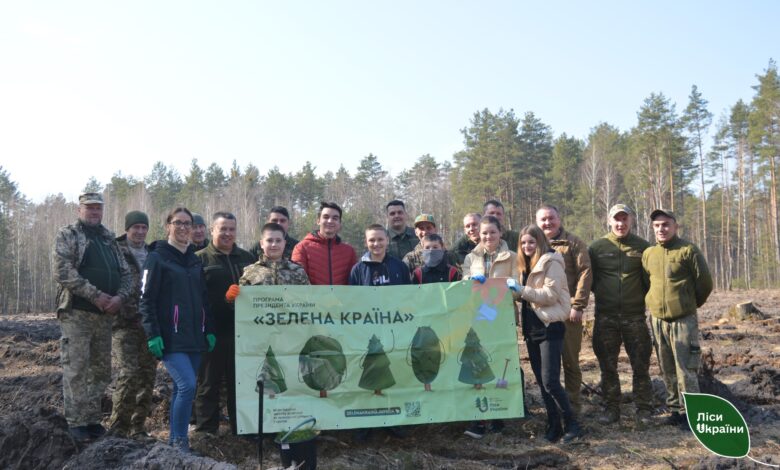 Масштабне озеленення: на деокупованих територіях Чернігівщини висаджують ліс (Фото)