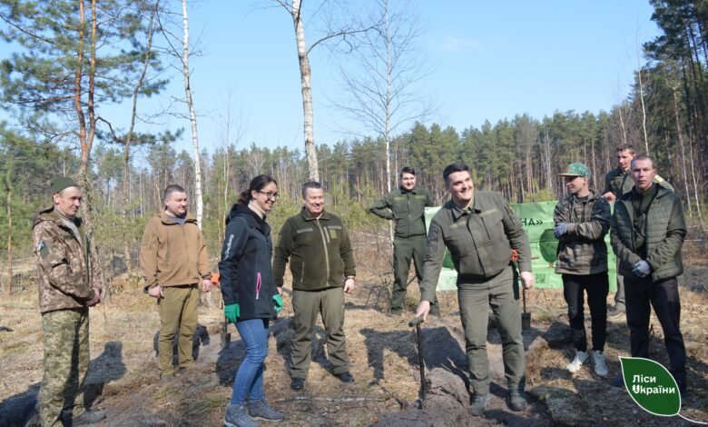 Масштабне озеленення: на деокупованих територіях Чернігівщини висаджують ліс (Фото)