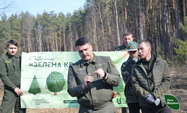 Масштабне озеленення: на деокупованих територіях Чернігівщини висаджують ліс (Фото)