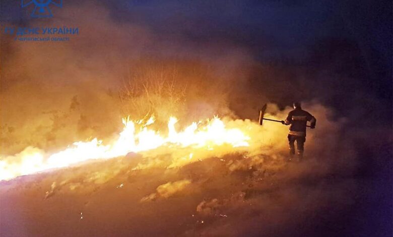 На Чернігівщині горять поля (Фото)