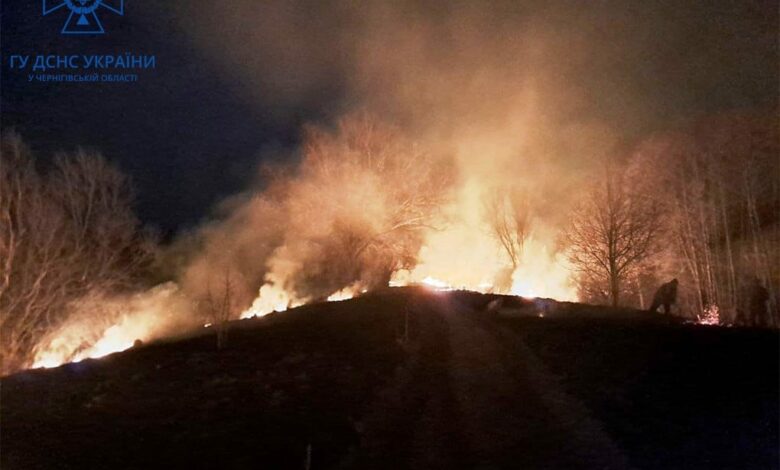 На Чернігівщині горять поля (Фото)