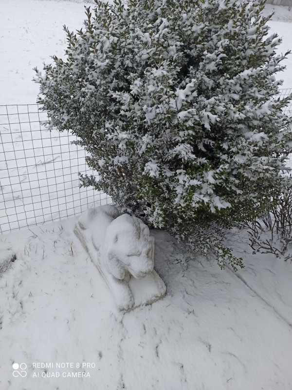 Весняний фальстарт: Чернігівщину засипало снігом (Фотофакт)
