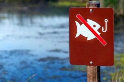 З 1 квітня на Чернігівщині розпочинається нерестова заборона на вилов риби