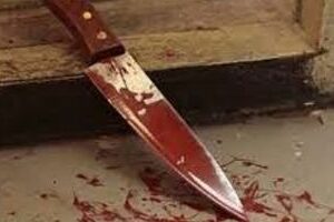 Жителя Чернігова засуджено за вбивство сусіда на 12 років