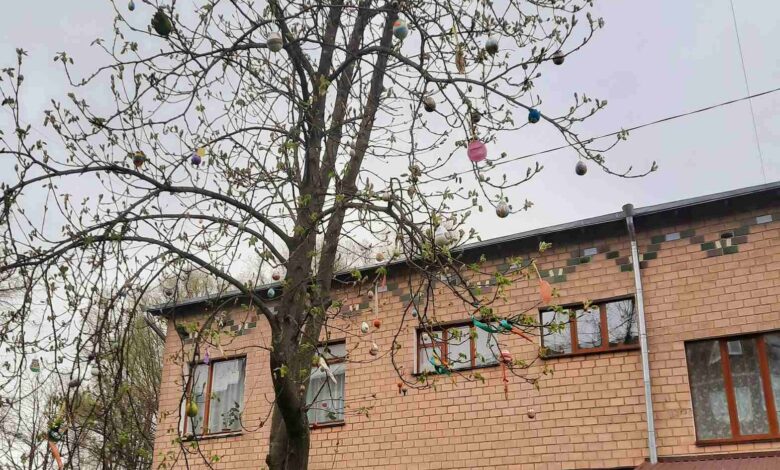 Біля Ніжинської хореографічної школи «розквітло» великоднє дерево (Фотофакт)