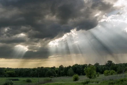 Хмарно і короткочасні дощі: чернігівські синоптики склали прогноз на найближчі дні