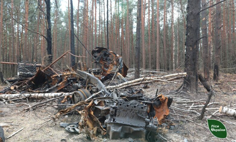 Як Городнянське лісництво працювало в умовах окупації (Фото)