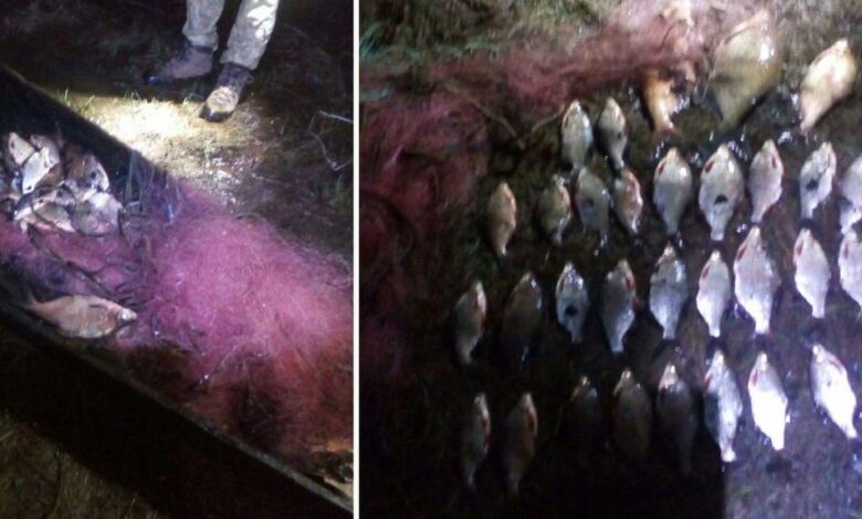 На Чернігівщині браконьєри наловили риби майже на 55 тисяч гривень