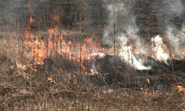 На Чернігівщині ліквідували 45 пожеж у природних екосистемах