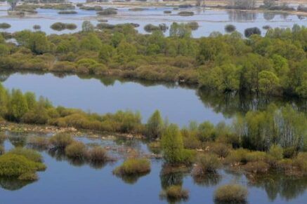 На Чернігівщині очікується пік підняття рівня води в Десні