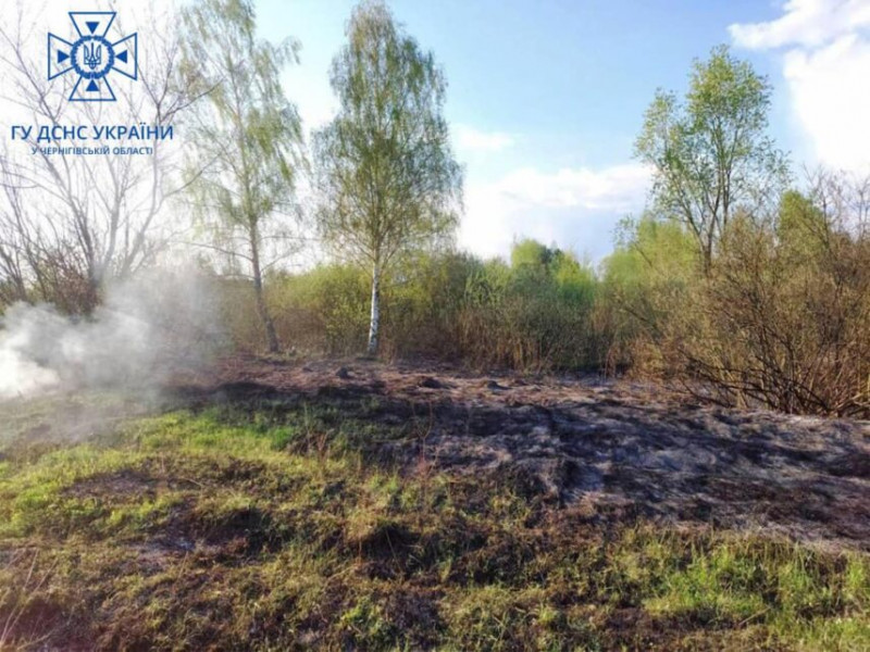 На Чернігівщині за добу горіли понад 10 гектарів