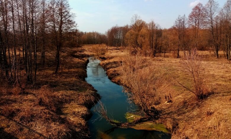 Річка Реть – маловідома притока Десни, що зникає (Фото)