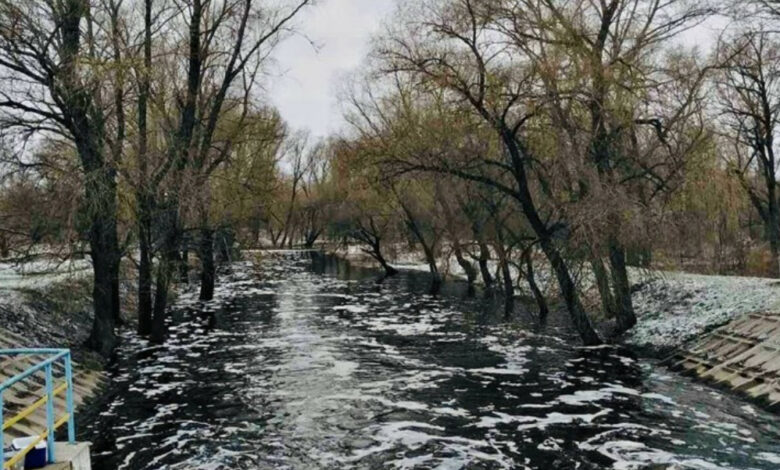 В річці Остер виявили невелику кількість хімічних забрудників