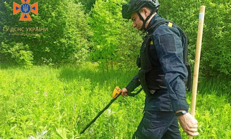 На Чернігівщині сапери вилучили шість вибухонебезпечних предметів