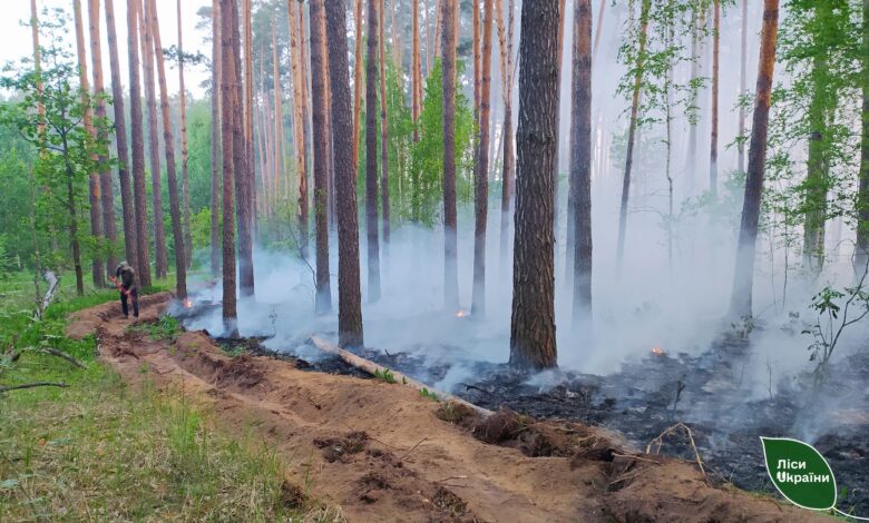 На Новгород-Сіверщині продовжується боротьба з лісовою пожежею, яка розпочалася через обстріли окупантів (Фото)