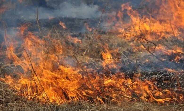 Попереджають про підвищену пожежну небезпеку на Чернігівщині