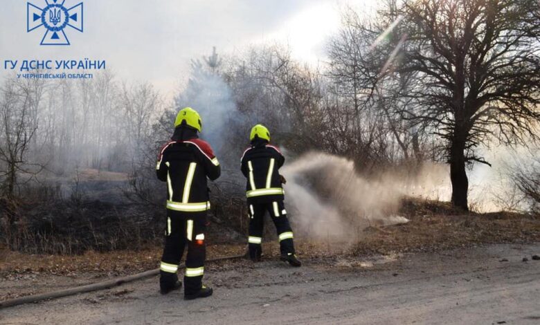 Рятувальники попереджають: 10-12 травня в лісах Чернігівщини – надзвичайний рівень пожежної безпеки