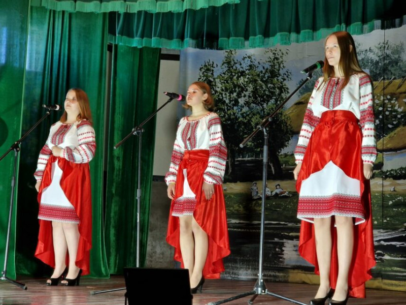 У селі на Чернігівщині провели благодійний концерт на підтримку ЗСУ