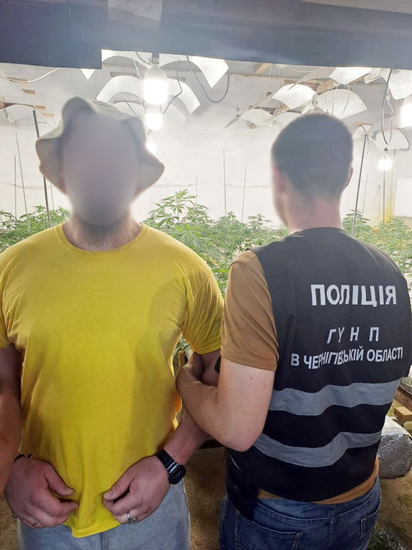 Чернігівець облаштував вдома плантацію конопель і нарколабораторію (Фото)