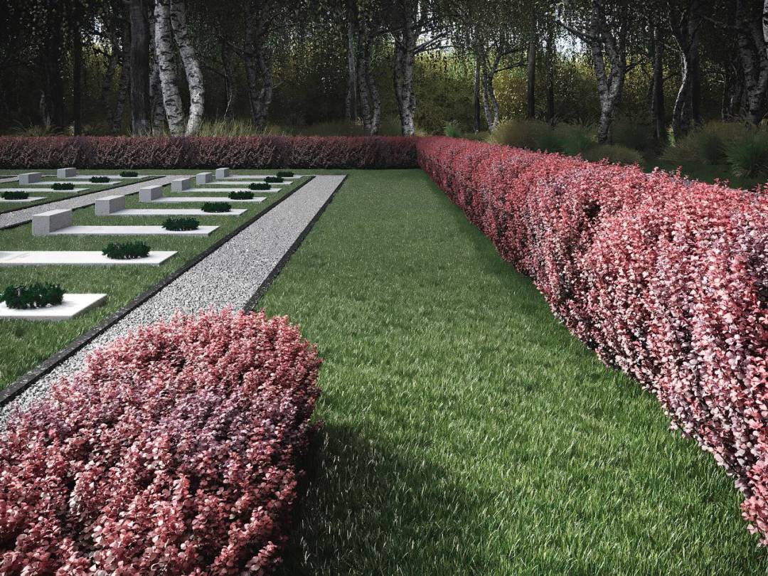 Ескізний проєкт меморіального комплексу в "Ялівщині" затвердили на архітектурно-містобудівній раді