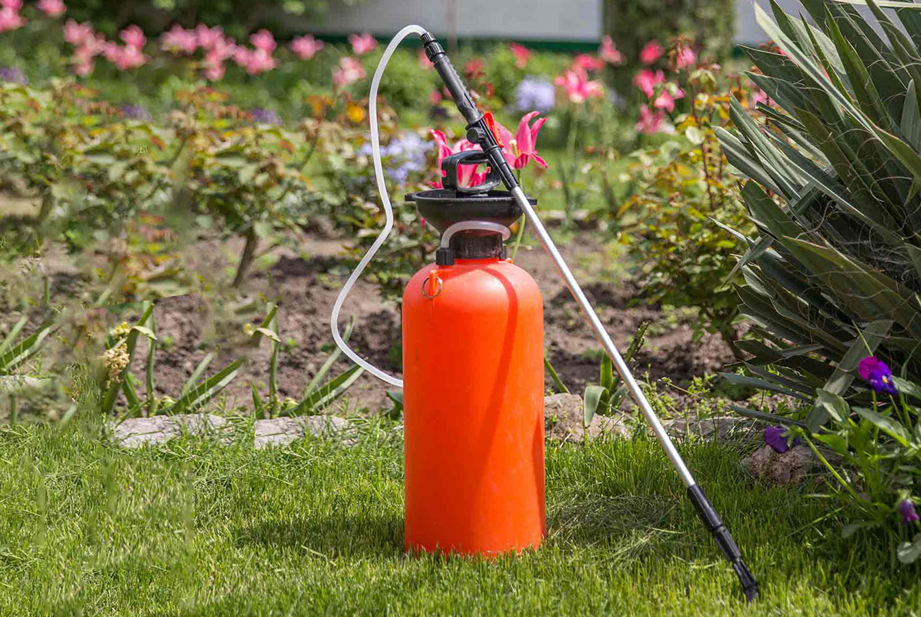 Топ 5 гербицидов для борьбы с сорняками