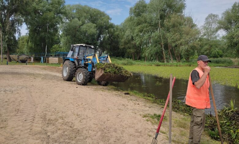 Літні клопоти: зону відпочинку на воді в Мені очищають від різаку (Фото)