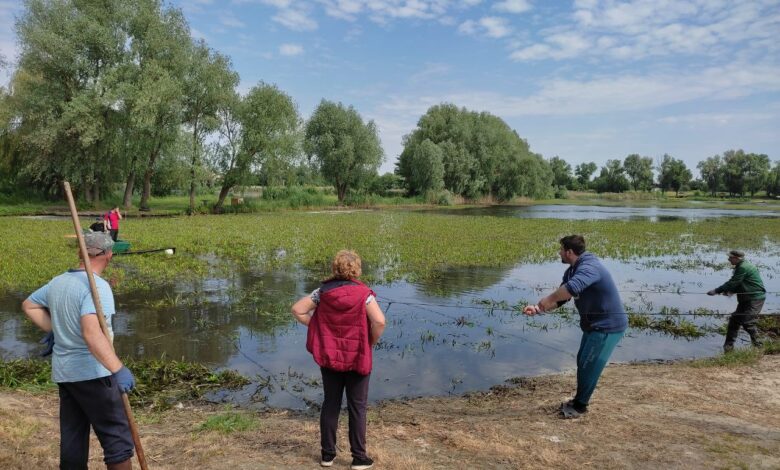 Літні клопоти: зону відпочинку на воді в Мені очищають від різаку (Фото)