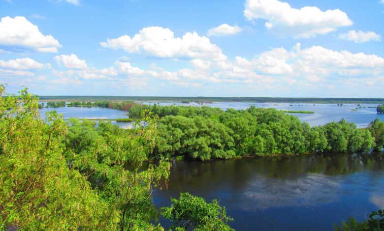 Мезинський національний парк – казка на Чернігівщині (Фото)