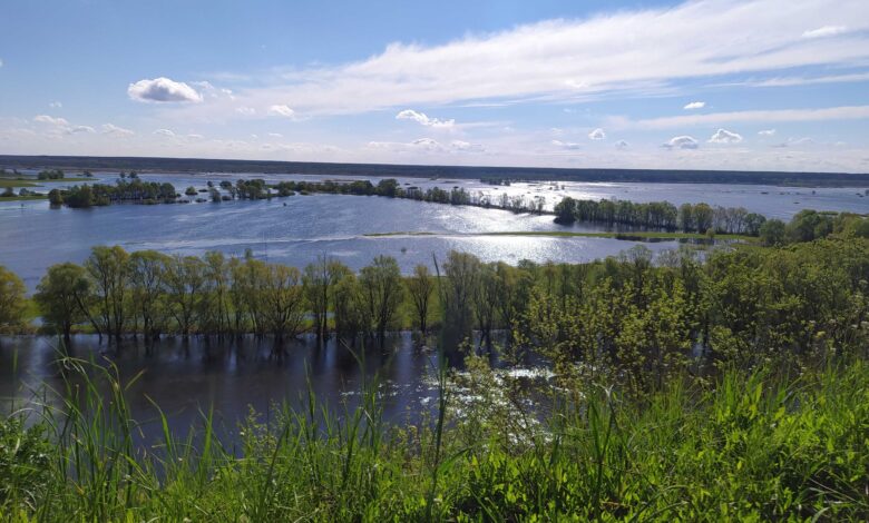 Мезинський національний парк – казка на Чернігівщині (Фото)