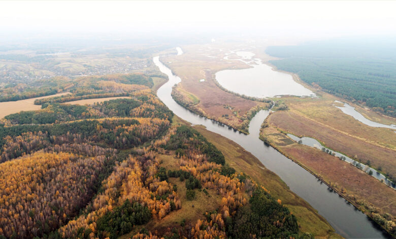 Мезинський національний парк – казка на Чернігівщині (Фото)