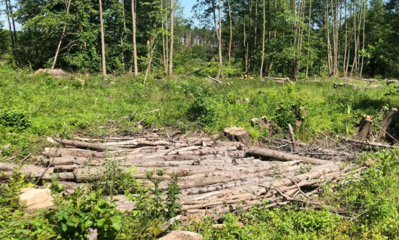 На Чернігівщині екологи виявили засмічення річки зі збитками у 450 тисяч гривень