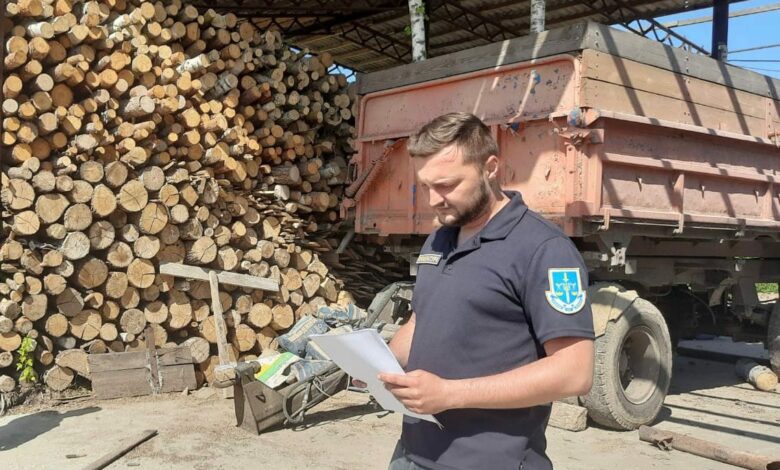 На Чернігівщині фермер та його підлеглі нарубали дерев на понад мільйон гривень (Фото)